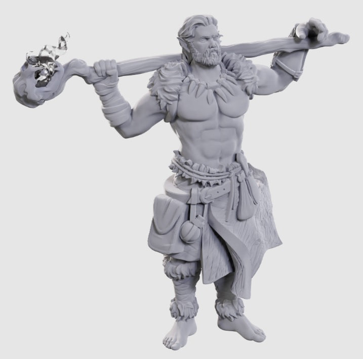 Nolzur's: Archdruid & Martial Arts Adept