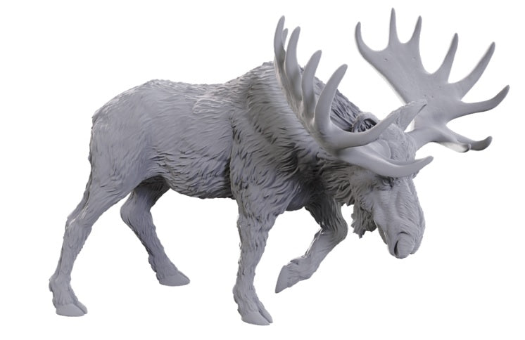 Deep Cuts: Bull Moose