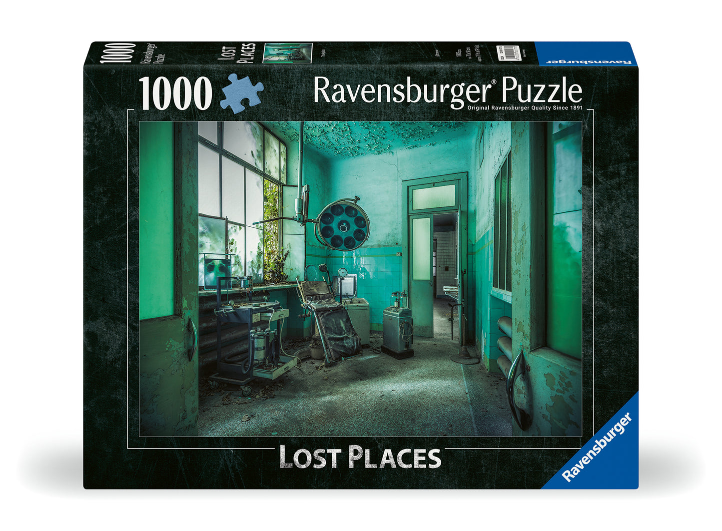 Puzzle: Lost Places- The Asylum (1000 pieces)