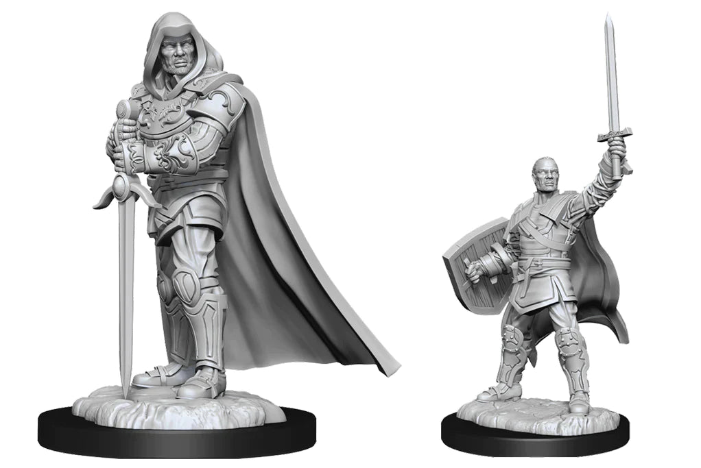Nolzur's: Human Paladin (Male)