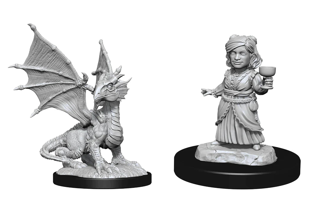 Nolzur's: Silver Dragon Wyrmling & Female Halfling