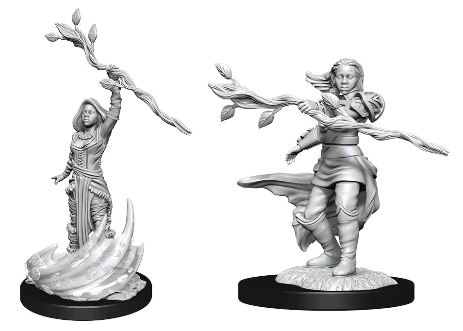Nolzur's: Human Druid (Female)