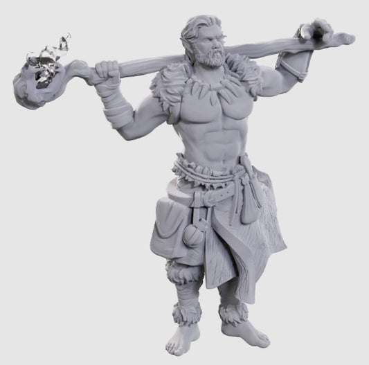 Nolzur's: Archdruid & Martial Arts Adept