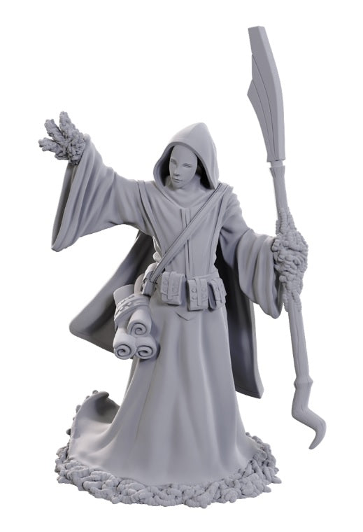Nolzur's: Star Spawn Larva Mage