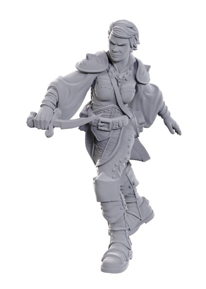 Nolzur's: Swashbuckler