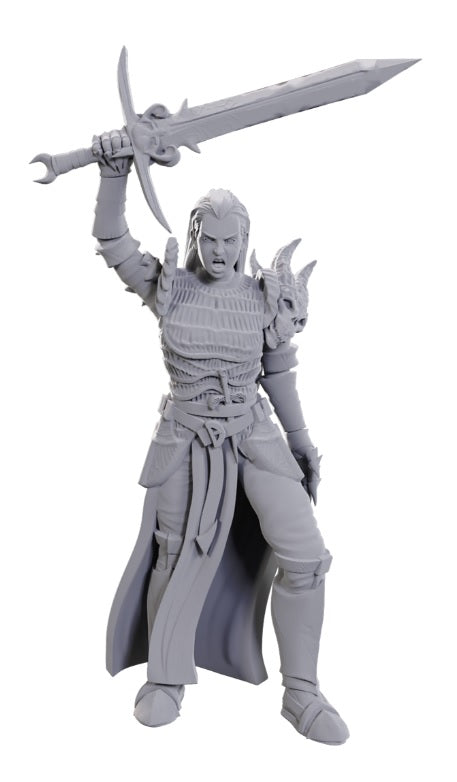 Nolzur's: Blackguard