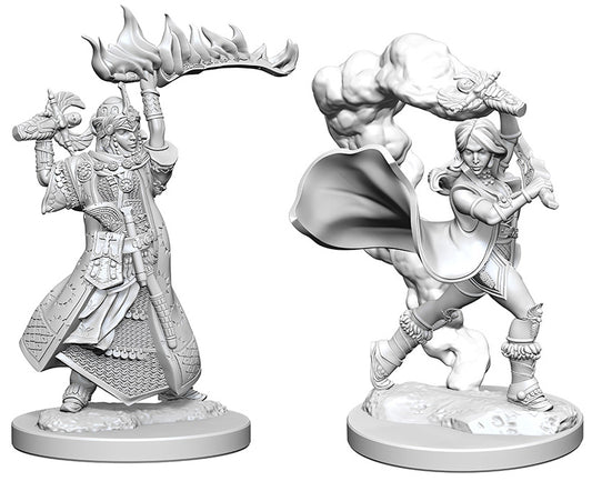 Pathfinder Deep Cuts Unpainted Miniatures: W01 Human Female Cleric