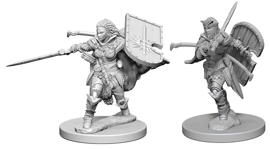 Pathfinder Deep Cuts Unpainted Miniatures: W1 Human Female Paladin