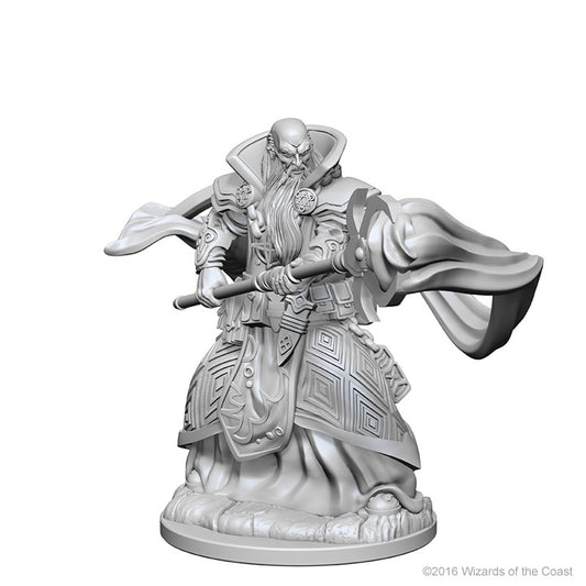 Dungeons & Dragons Nolzur`s Marvelous Unpainted Miniatures: W1 Human Male Wizard