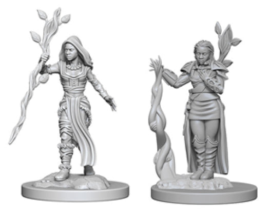 Dungeons & Dragons Nolzur`s Marvelous Unpainted Miniatures: W2 Human Female Druid