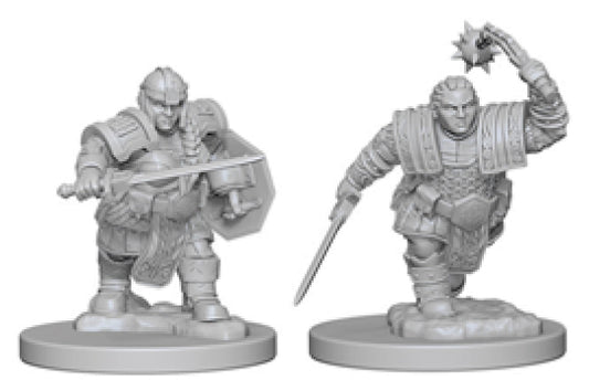 Dungeons & Dragons: Nolzur's Marvelous Unpainted Miniatures - W02 Dwarf Female Fighter