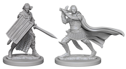 Pathfinder Deep Cuts Unpainted Miniatures: W2 Elf Male Paladin