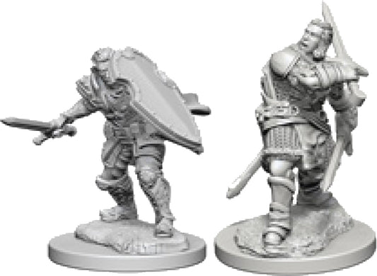 Dungeons & Dragons Nolzur`s Marvelous Unpainted Miniatures: W3 Human Male Paladin