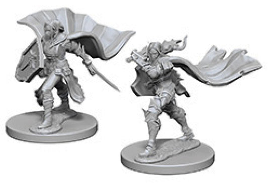 Pathfinder Deep Cuts Unpainted Miniatures: W04 Elf Female Paladin