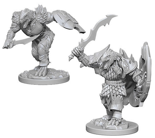 Dungeons & Dragons Nolzur`s Marvelous Unpainted Miniatures: W4 Dragonborn Male Fighter