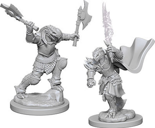 Dungeons & Dragons Nolzur`s Marvelous Unpainted Miniatures: W4 Dragonborn Female Fighter