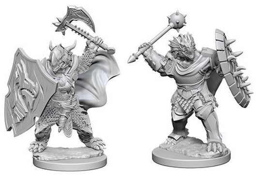 Dungeons & Dragons: Nolzur's Marvelous Unpainted Miniatures - W04 Dragonborn Male Paladin