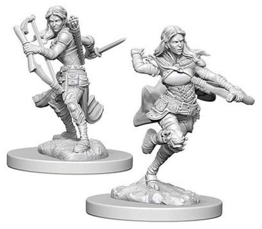 Dungeons & Dragons Nolzur`s Marvelous Unpainted Miniatures: W4 Air Genasi Female Rogue