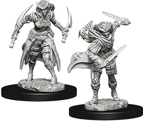 Dungeons & Dragons: Nolzur's Marvelous Unpainted Miniatures - W07 Tiefling Female Rogue