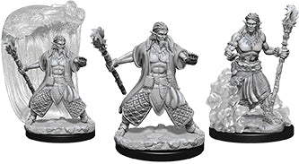 Dungeons & Dragons Nolzur`s Marvelous Unpainted Miniatures: W5 Water Genasi Male Druid