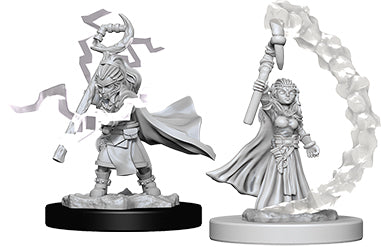 Pathfinder Deep Cuts Unpainted Miniatures: W5 Gnome Female Sorcerer