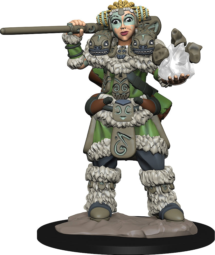 WizKids Wardlings: W01 Girl Druid & Stone Creature