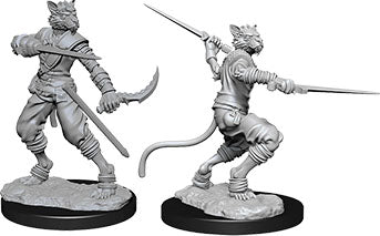 Dungeons & Dragons Nolzur`s Marvelous Unpainted Miniatures: W7 Tabaxi Male Rogue