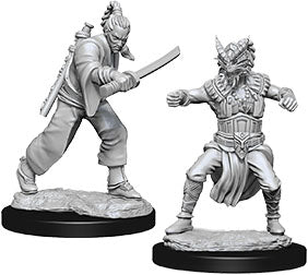 Dungeons & Dragons Nolzur`s Marvelous Unpainted Miniatures: W8 Male Human Monk