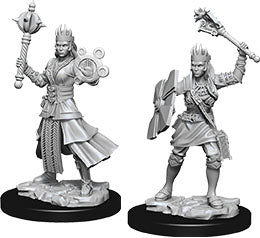 Dungeons & Dragons Nolzur`s Marvelous Unpainted Miniatures: W8 Female Human Cleric