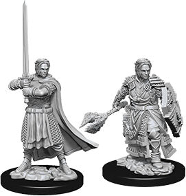 Dungeons & Dragons Nolzur`s Marvelous Unpainted Miniatures: W8 Male Human Cleric