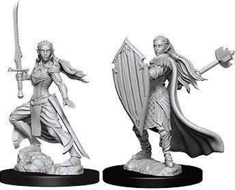 Dungeons & Dragons Nolzur`s Marvelous Unpainted Miniatures: W9 Female Elf Paladin