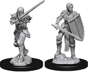 Dungeons & Dragons Nolzur`s Marvelous Unpainted Miniatures: W9 Female Human Fighter