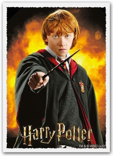 Dragon Sheilds: (100) Matte Art - Harry Potter Wizarding World - Ron Weasley (DISPLAY 10)