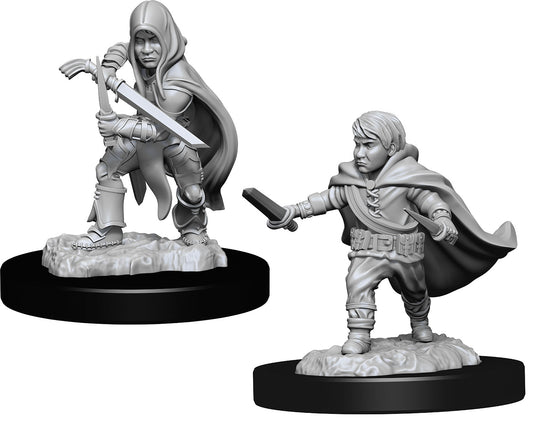 Nolzur's: Halfling Rogue (Male)