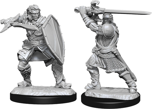 Dungeons & Dragons: Nolzur's Marvelous Unpainted Miniatures - W14 Human Paladin Male