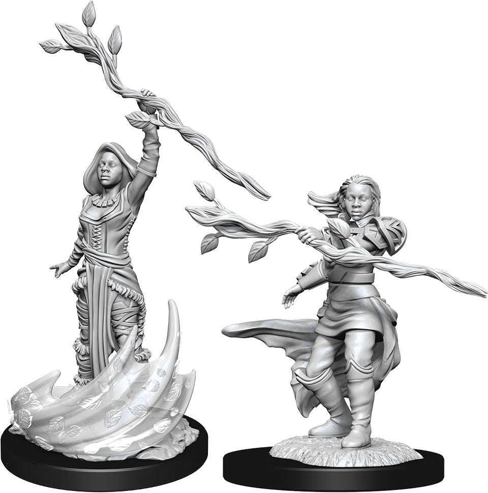 Dungeons & Dragons: Nolzur's Marvelous Unpainted Miniatures - W14 Human Druid Female