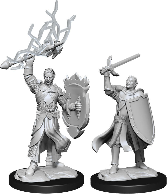 Dungeons & Dragons: Nolzur's Marvelous Unpainted Miniatures - W14 Half-Elf Paladin Male