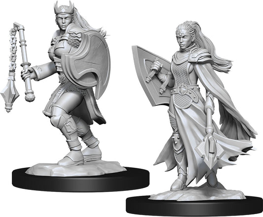 Dungeons & Dragons: Nolzur's Marvelous Unpainted Miniatures - W14 Kalashtar Cleric Female