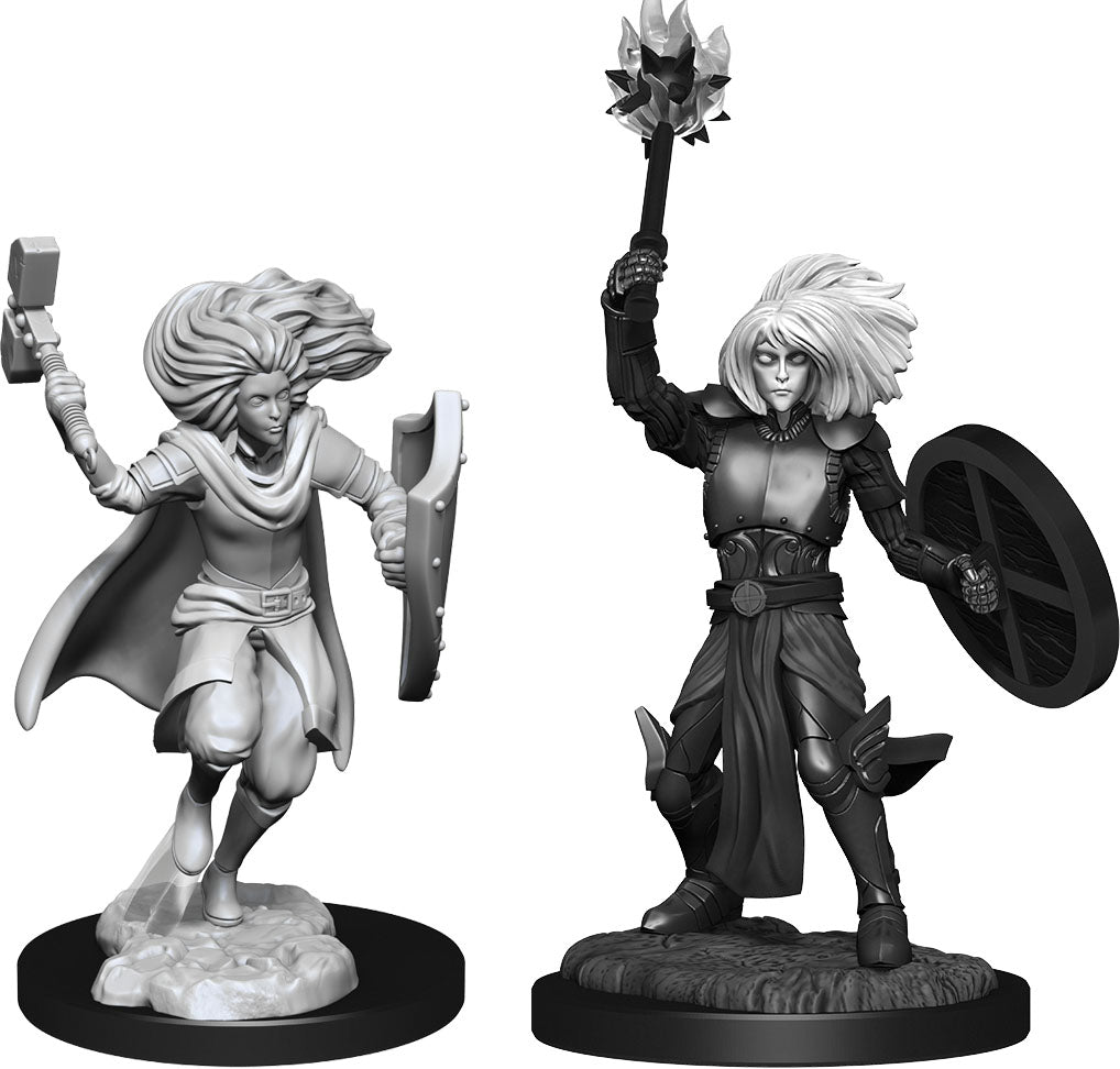 Dungeons & Dragons: Nolzur's Marvelous Unpainted Miniatures - W14 Changeling Cleric Male