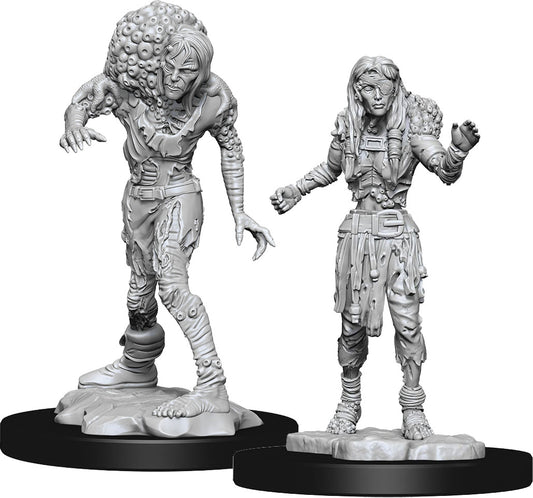 Dungeons & Dragons: Nolzur's Marvelous Unpainted Miniatures - W14 Drowned Assassin & Drowned Asetic