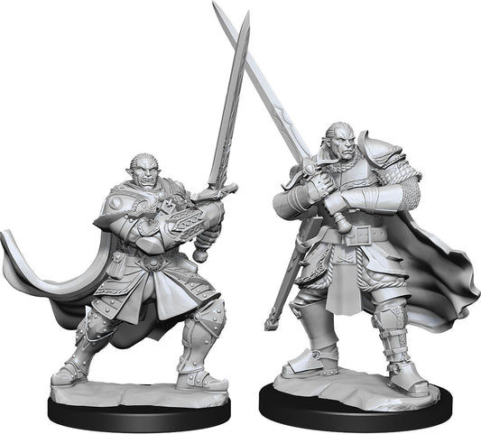 Dungeons & Dragons: Nolzur's Marvelous Unpainted Miniatures - W15 Half-Orc Paladin Male