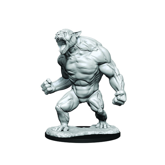 Critical Role Unpainted Miniatures: W01 Aeorian Reverser