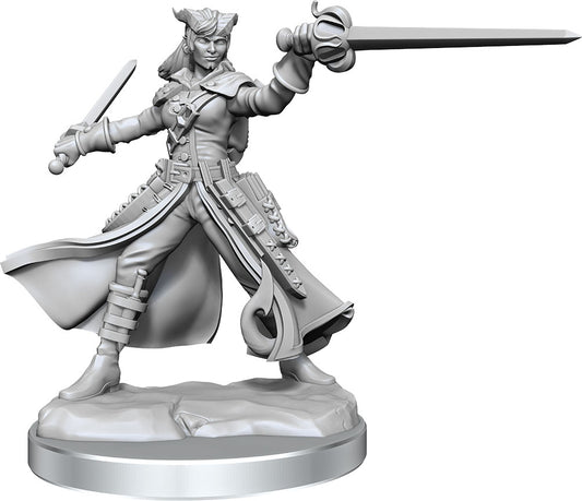 Dungeons & Dragons Frameworks: W01 Tiefling Rogue Female