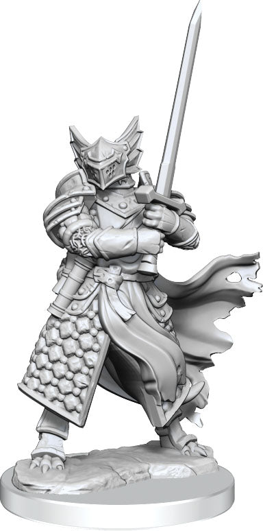 Dungeons & Dragons Frameworks: W01 Dragonborn Paladin Male