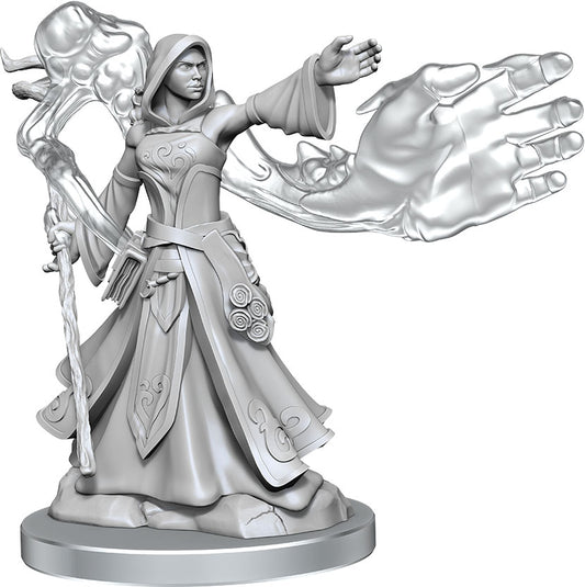 Dungeons & Dragons Frameworks: W01 Elf Wizard Female