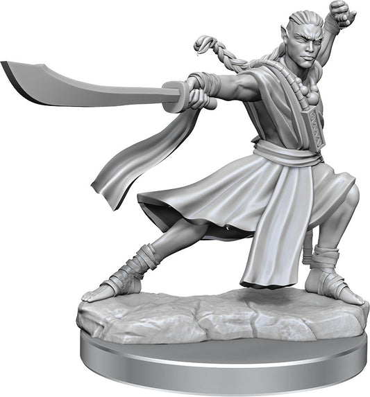 Dungeons & Dragons Frameworks: W01 Elf Monk Male