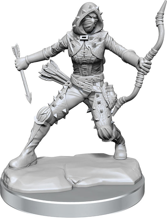 Dungeons & Dragons Frameworks: W01 Human Rogue Female