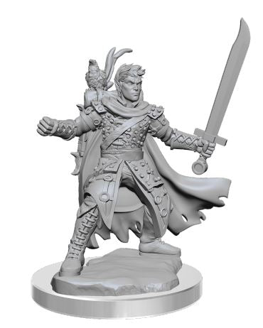 Dungeons & Dragons Frameworks: W02A Male Half-Elf Ranger