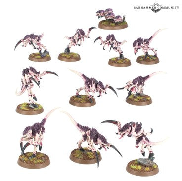 Warhammer 40K: Tyranids - Hormaguants