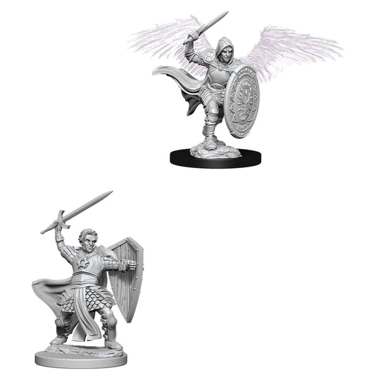 Nolzur’s: Aasimar Paladin (Male)